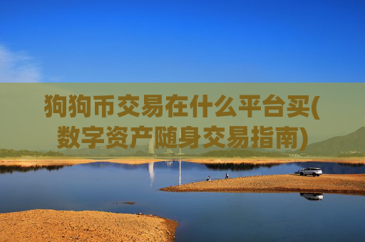 狗狗币交易在什么平台买(数字资产随身交易指南)
