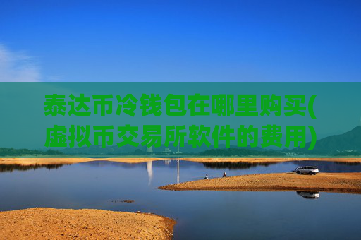 泰达币冷钱包在哪里购买(虚拟币交易所软件的费用)