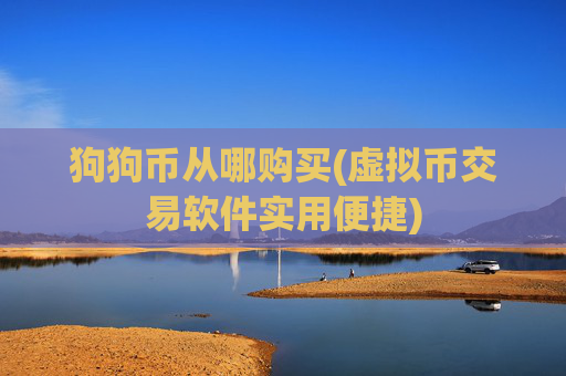 狗狗币从哪购买(虚拟币交易软件实用便捷)