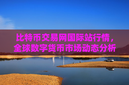比特币交易网国际站行情,全球数字货币市场动态分析