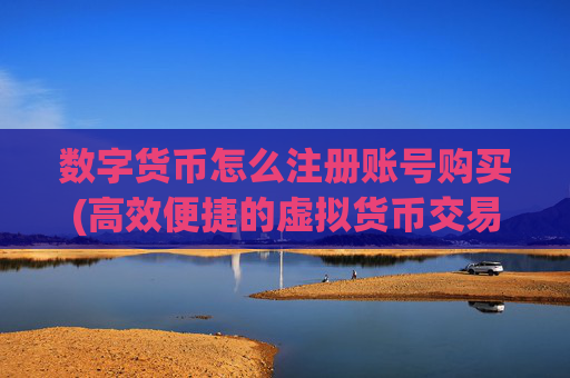 数字货币怎么注册账号购买(高效便捷的虚拟货币交易所)