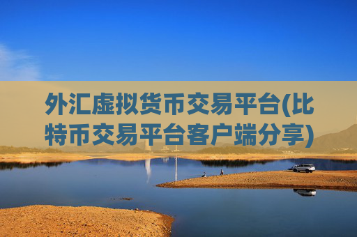 外汇虚拟货币交易平台(比特币交易平台客户端分享)