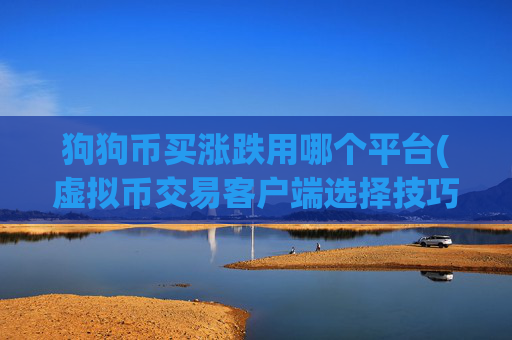 狗狗币买涨跌用哪个平台(虚拟币交易客户端选择技巧)