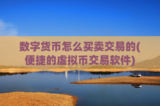 数字货币怎么买卖交易的(便捷的虚拟币交易软件)