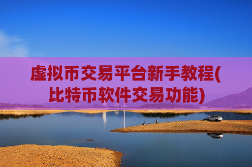 虚拟币交易平台新手教程(比特币软件交易功能)