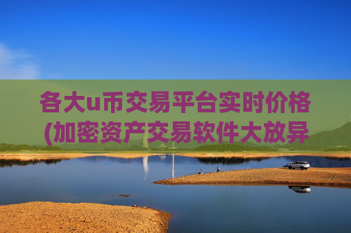 各大u币交易平台实时价格(加密资产交易软件大放异彩)