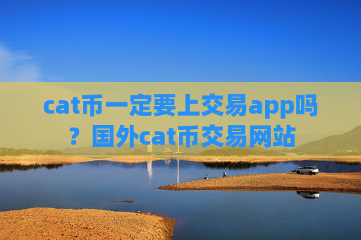 cat币一定要上交易app吗?国外cat币交易网站