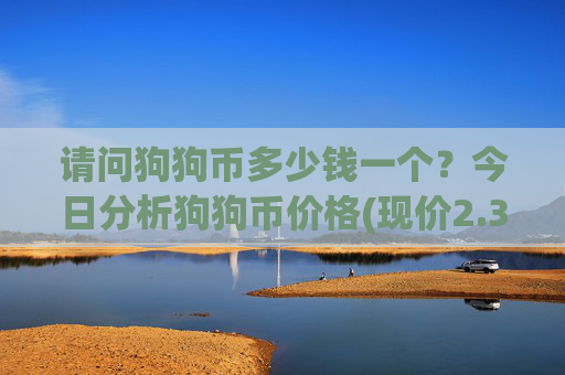 请问狗狗币多少钱一个?今日分析狗狗币价格(现价2.321元)