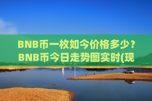 BNB币一枚如今价格多少?BNB币今日走势图实时(现价4835.24元)