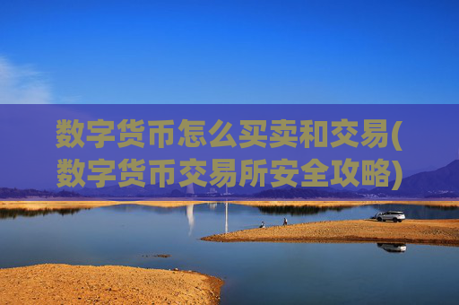 数字货币怎么买卖和交易(数字货币交易所安全攻略)
