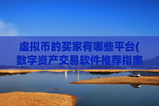 虚拟币的买家有哪些平台(数字资产交易软件推荐指南)