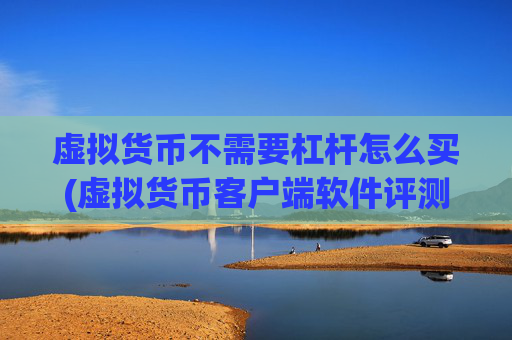 虚拟货币不需要杠杆怎么买(虚拟货币客户端软件评测)