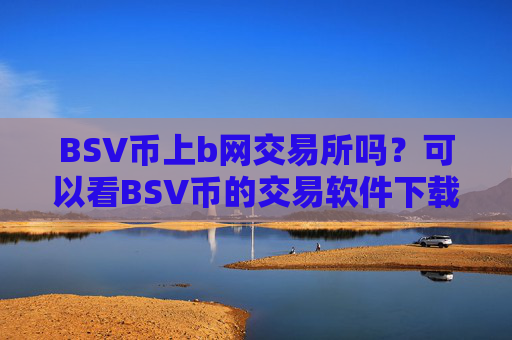 BSV币上b网交易所吗?可以看BSV币的交易软件下载APP