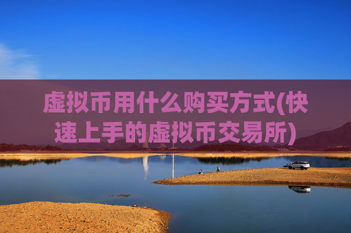 虚拟币用什么购买方式(快速上手的虚拟币交易所)