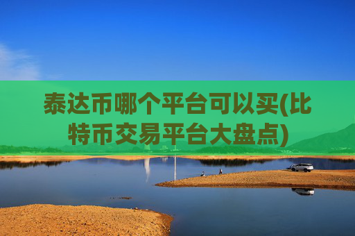 泰达币哪个平台可以买(比特币交易平台大盘点)