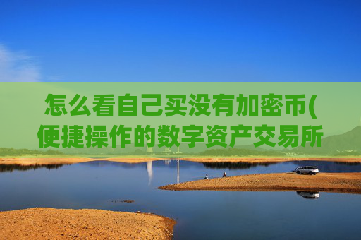怎么看自己买没有加密币(便捷操作的数字资产交易所)