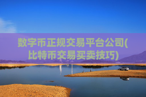 数字币正规交易平台公司(比特币交易买卖技巧)