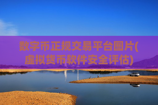 数字币正规交易平台图片(虚拟货币软件安全评估)