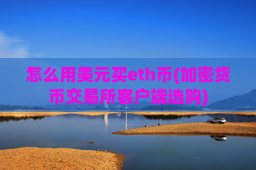 怎么用美元买eth币(加密货币交易所客户端选购)