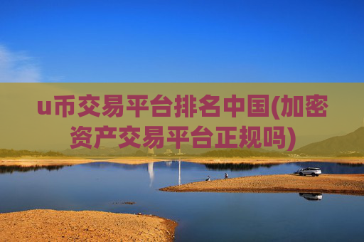 u币交易平台排名中国(加密资产交易平台正规吗)