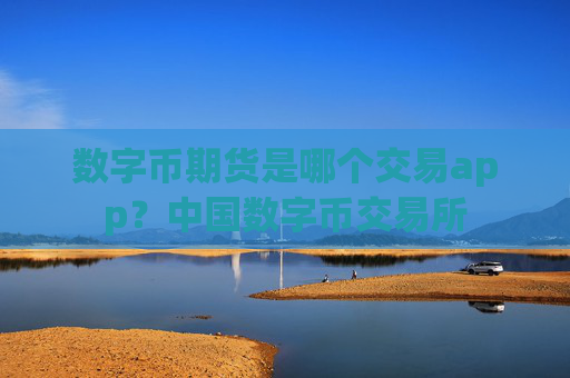 数字币期货是哪个交易app?中国数字币交易所