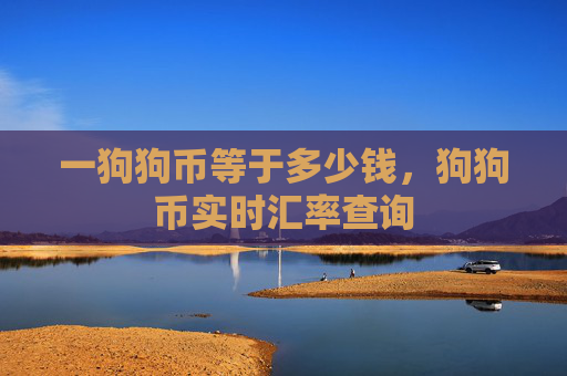 一狗狗币等于多少钱,狗狗币实时汇率查询