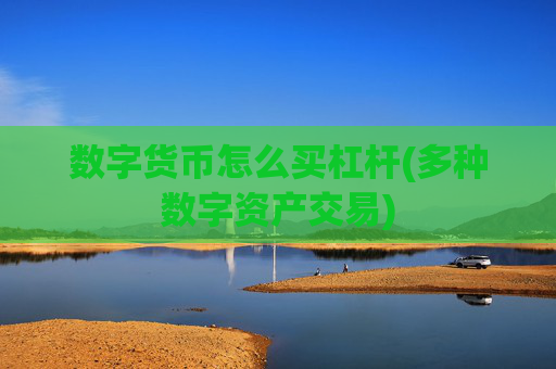 数字货币怎么买杠杆(多种数字资产交易)