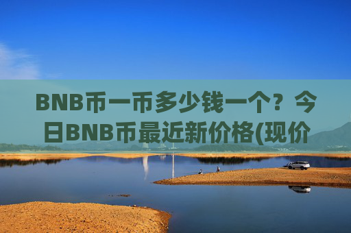 BNB币一币多少钱一个?今日BNB币最近新价格(现价5298.92元)