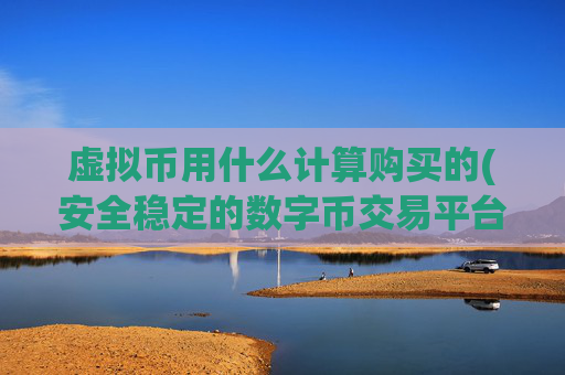 虚拟币用什么计算购买的(安全稳定的数字币交易平台)