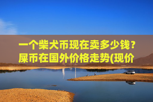 一个柴犬币现在卖多少钱?屎币在国外价格走势(现价0.00023104元)