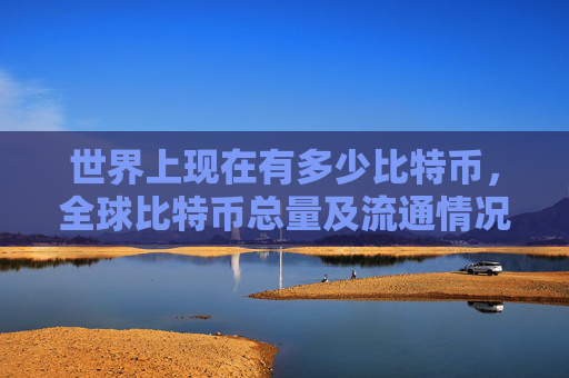 世界上现在有多少比特币,全球比特币总量及流通情况