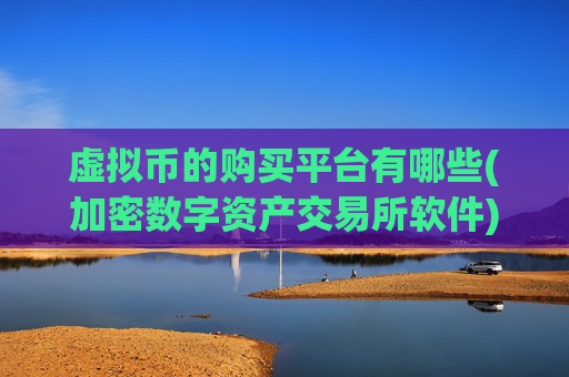 虚拟币的购买平台有哪些(加密数字资产交易所软件)