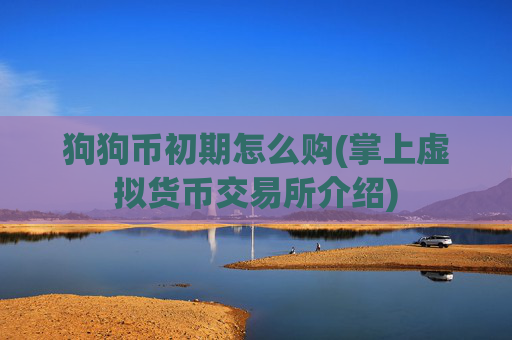 狗狗币初期怎么购(掌上虚拟货币交易所介绍)