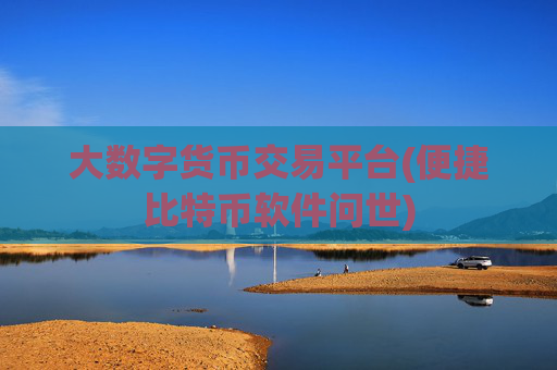 大数字货币交易平台(便捷比特币软件问世)