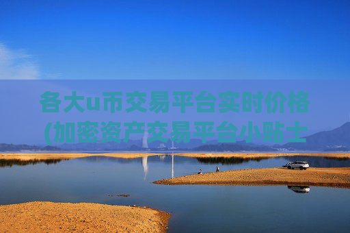 各大u币交易平台实时价格(加密资产交易平台小贴士)