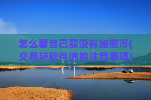 怎么看自己买没有加密币(交易所软件选购注意事项)