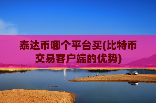 泰达币哪个平台买(比特币交易客户端的优势)