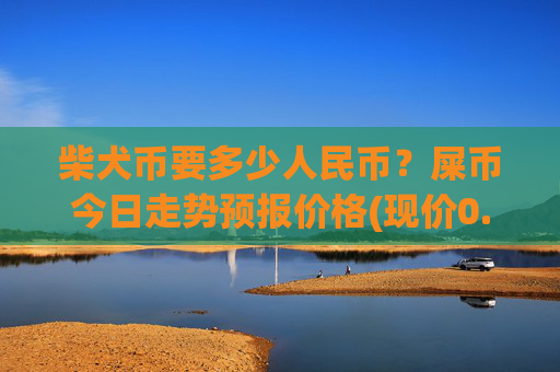 柴犬币要多少人民币?屎币今日走势预报价格(现价0.00023028元)
