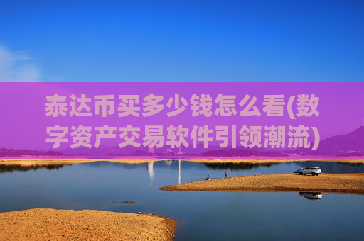 泰达币买多少钱怎么看(数字资产交易软件引领潮流)