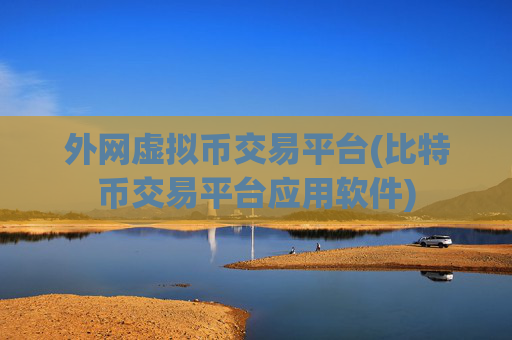 外网虚拟币交易平台(比特币交易平台应用软件)