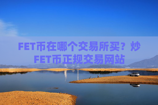 FET币在哪个交易所买?炒FET币正规交易网站