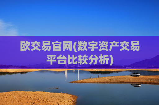 欧交易官网(数字资产交易平台比较分析)