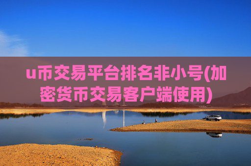 u币交易平台排名非小号(加密货币交易客户端使用)