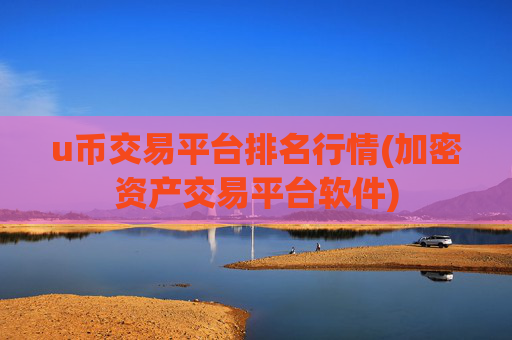 u币交易平台排名行情(加密资产交易平台软件)