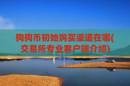 狗狗币初始购买渠道在哪(交易所专业客户端介绍)