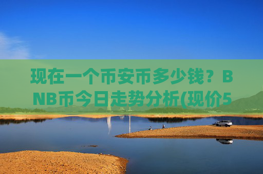 现在一个币安币多少钱?BNB币今日走势分析(现价5304.07元)