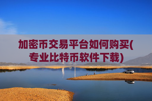 加密币交易平台如何购买(专业比特币软件下载)