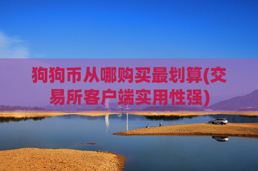 狗狗币从哪购买最划算(交易所客户端实用性强)