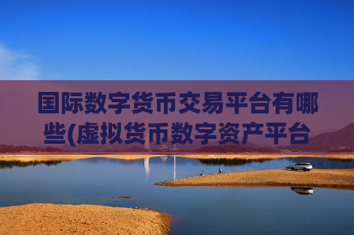 国际数字货币交易平台有哪些(虚拟货币数字资产平台)