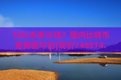 1btc币多少钱?国内比特币走势图今日(现价748874.11元)